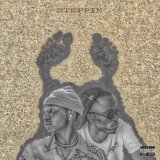 Steppin' (feat. Prigga Noah)
