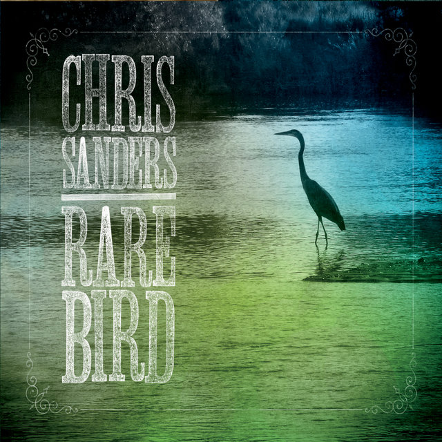 Rare Bird