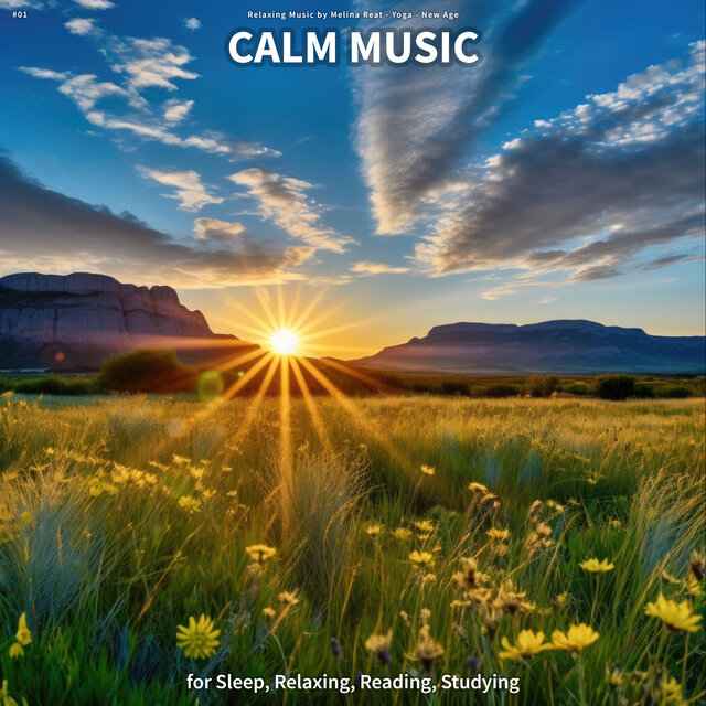 #01 Calm Music for Sleep, Relaxing, Reading, Studying