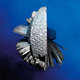 Cover art for album Volcano - EP by Andrea Balency