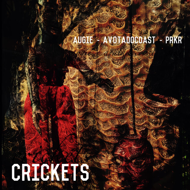 crickets (feat. avotadocoast & PRKR)