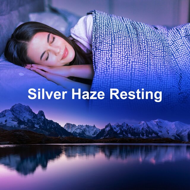 Silver Haze Resting