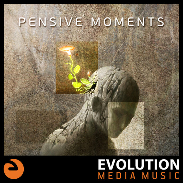 Pensive Moments