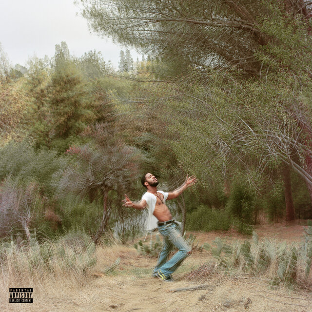 Cover art for album  by Kid Cudi