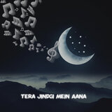 Tera Jindgi Mein Aana