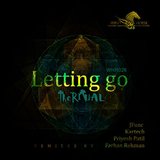 Letting Go (JFunc Remix)