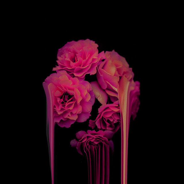 BLOOM