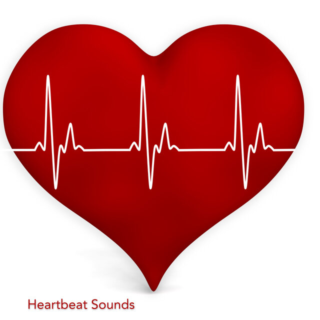 Heartbeat Sounds