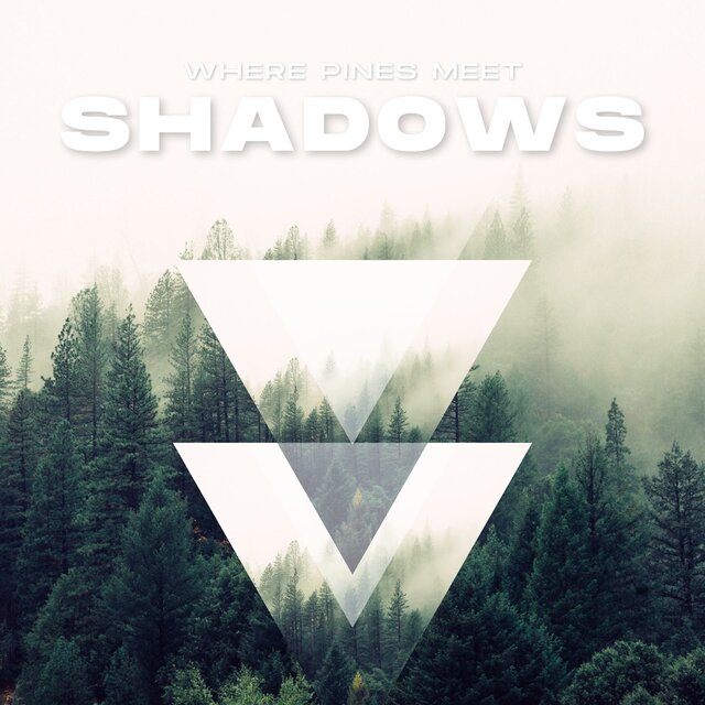 Where Pines Meet Shadows