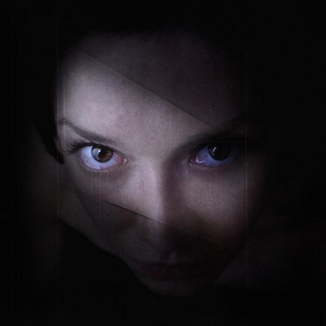In the Dark