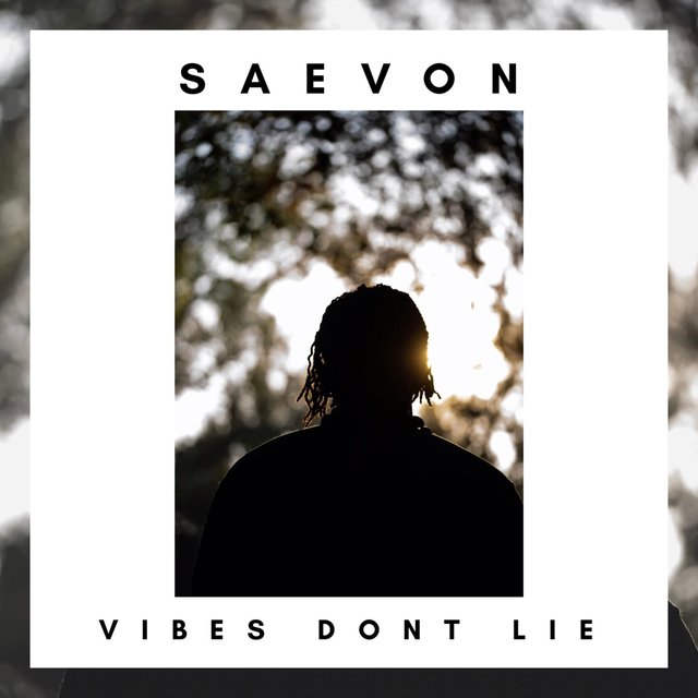 Vibes Don't Lie