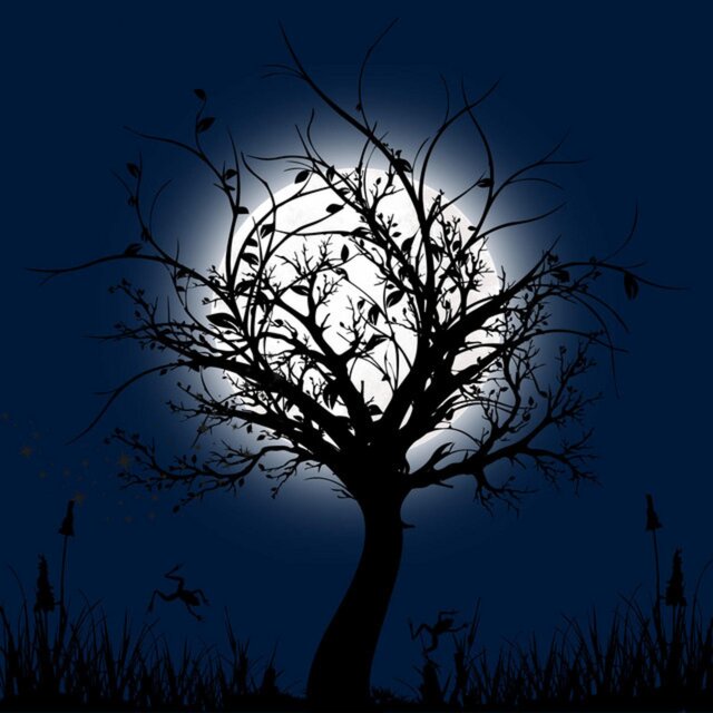 Midnight (Deluxe Edition)