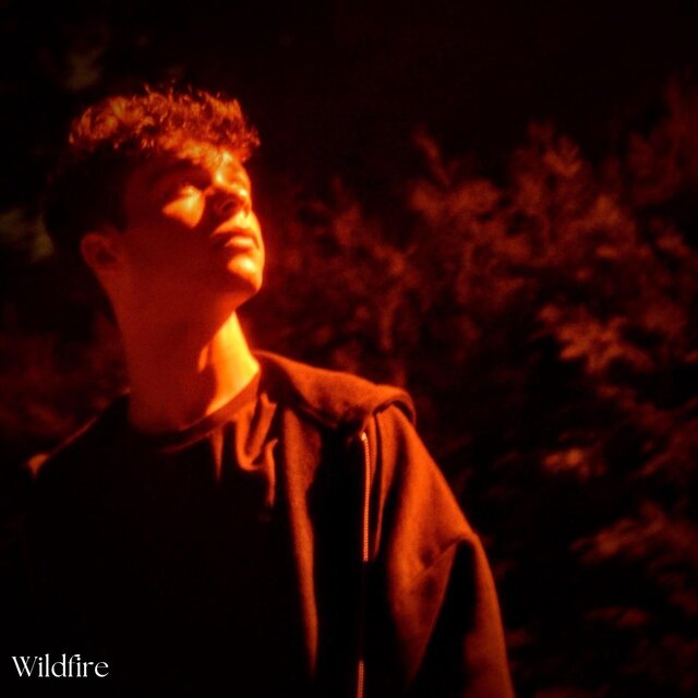 Wildfire