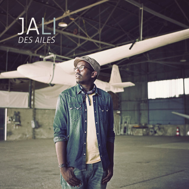 Des Ailes