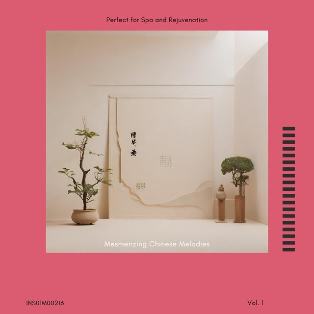 Mesmerizing Chinese Melodies - Perfect for Spa and Rejuvenation, Vol. 01