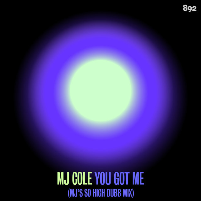 You Got Me (MJ's So High Dubb)