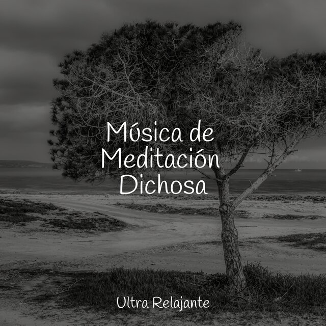 Música de Meditación Dichosa