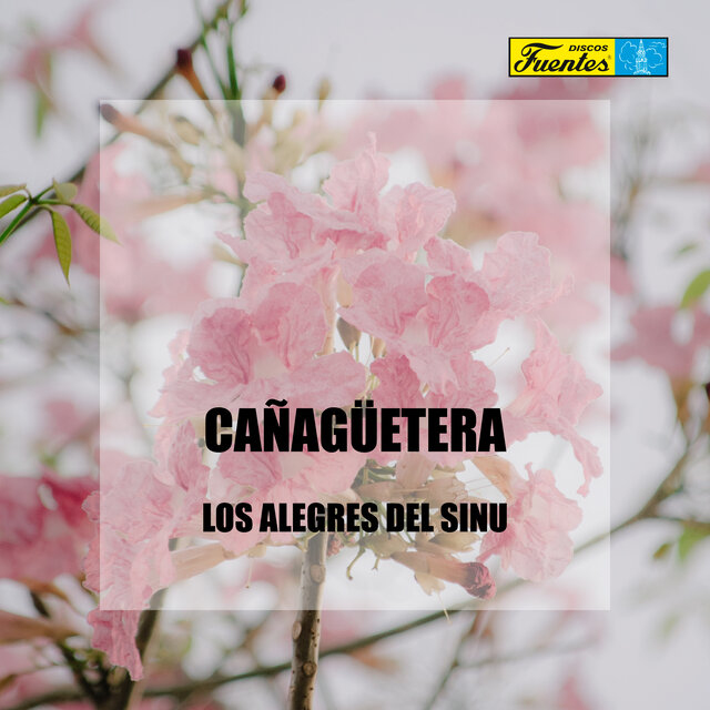 Cañagüetera
