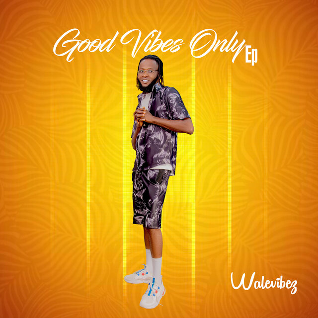 Goodvibesonly - EP