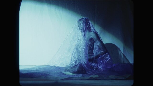 Fatima's Dream