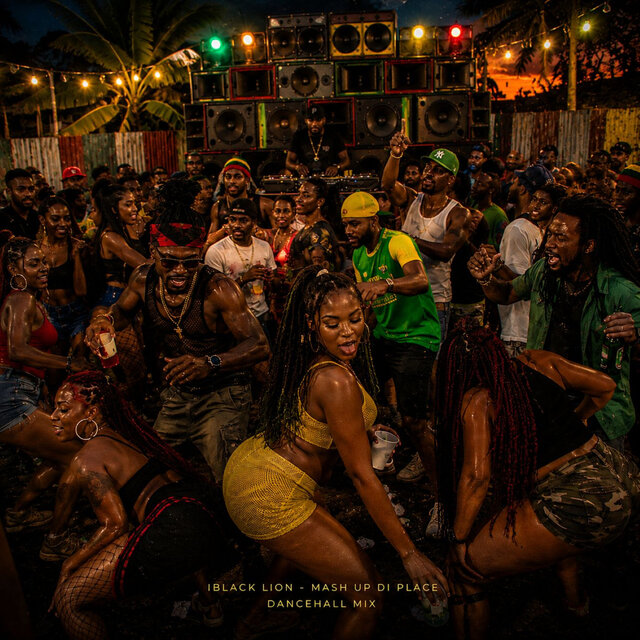 Cover art for album Mash Up DI Place by IBlack Lion