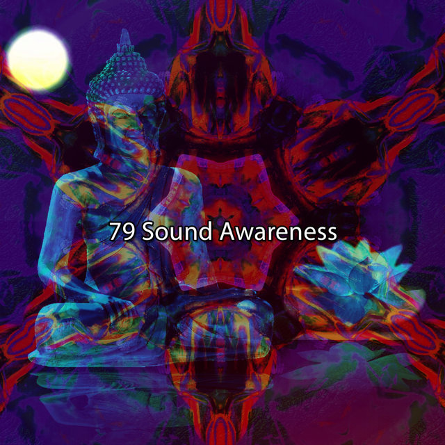 79 Sound Awareness