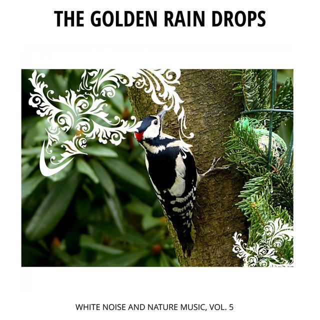 The Golden Rain Drops - White Noise and Nature Music, Vol. 5