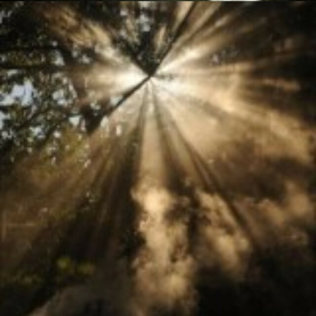 Divine grace
