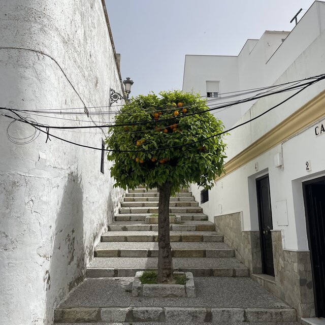 süden