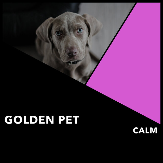 Golden Pet Calm