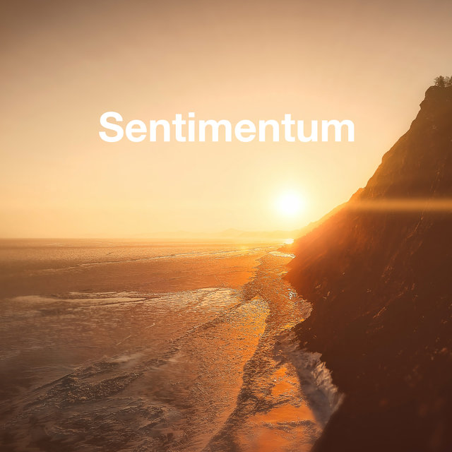 Sentimentum