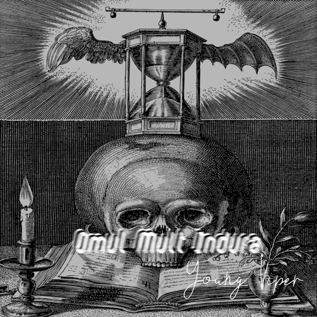 Omul mult îndura