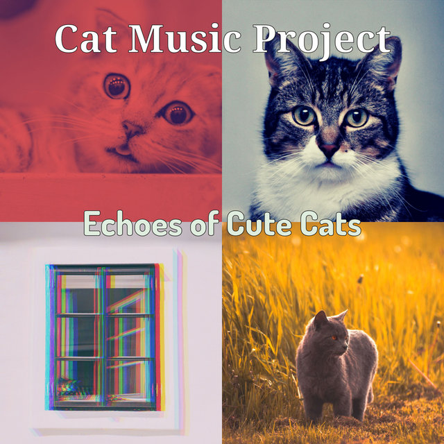 Echoes of Cute Cats