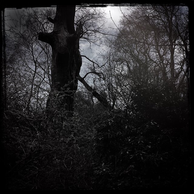 Streams Of Consciousness 240112