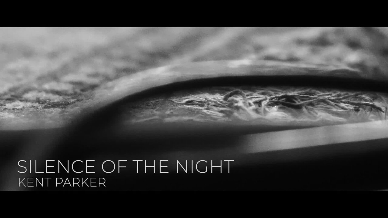 Silence of the Night