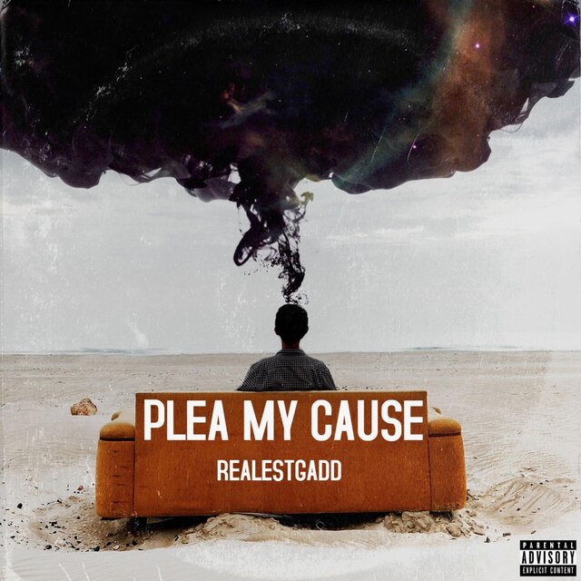 PLEA MY CAUSE (Radio Edit)