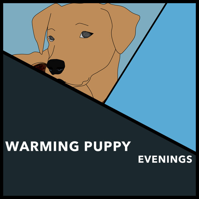 Warming Puppy Evenings