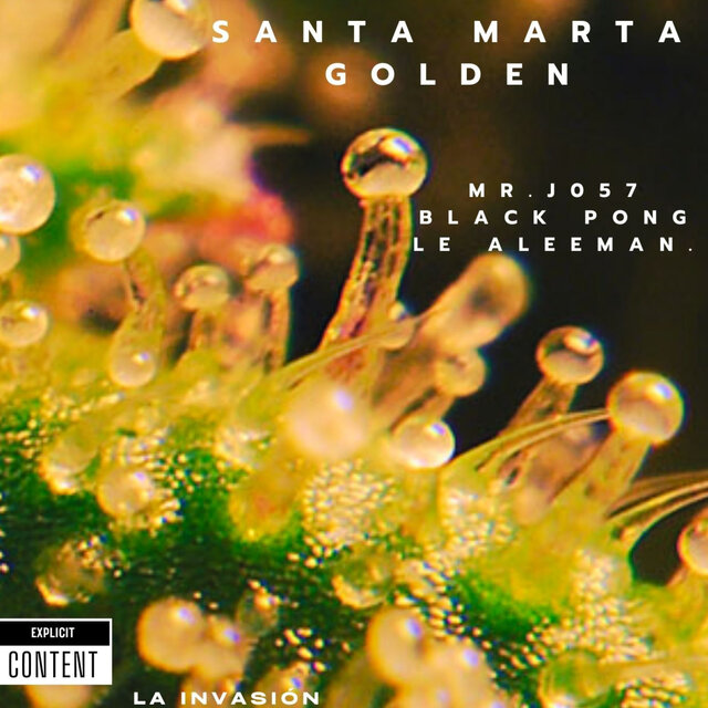 Santa Marta Golden