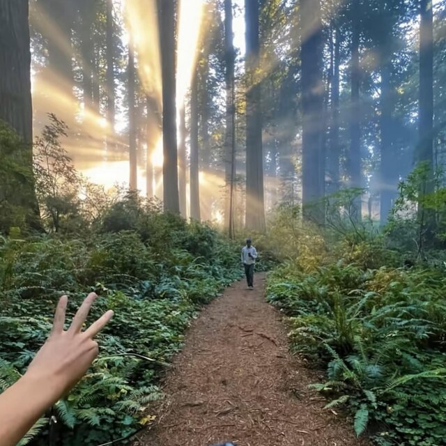 Long Walks