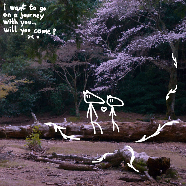 I Want to Go on a Journey with You... Will You Come? ><