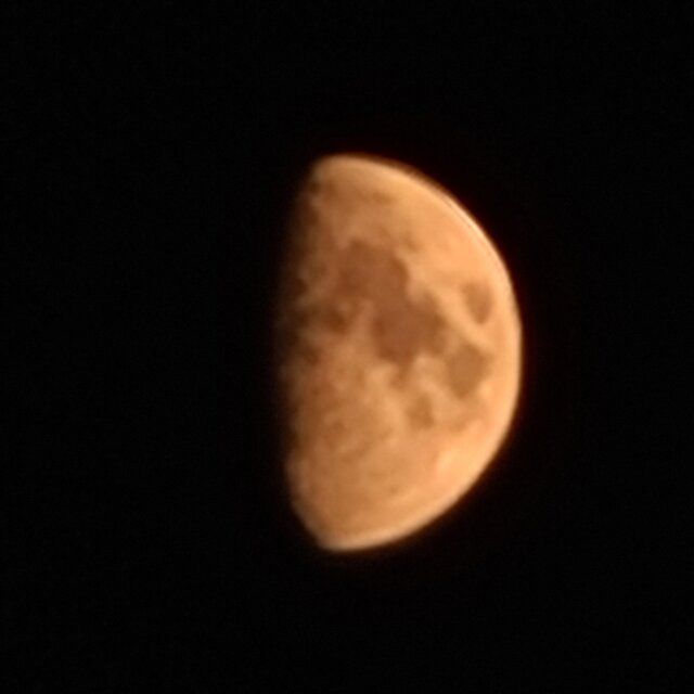 Cover art for album Druid musings by User