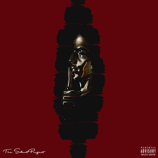 The Silent Project