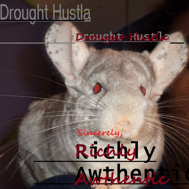 Sincerely, Richly Awthentic