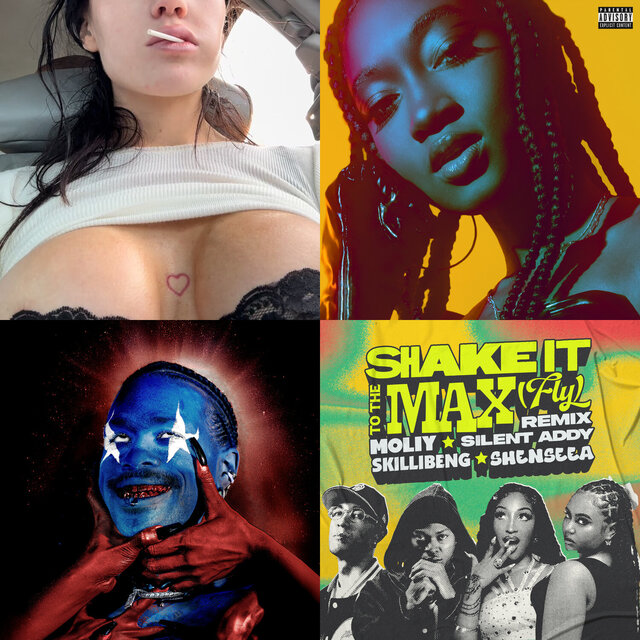 Cover art for album Gay hang by User