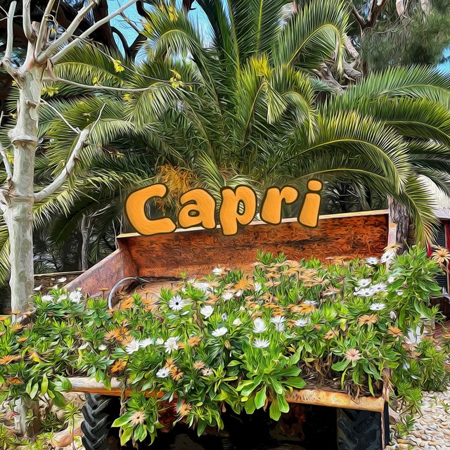 Capri (feat. momo)