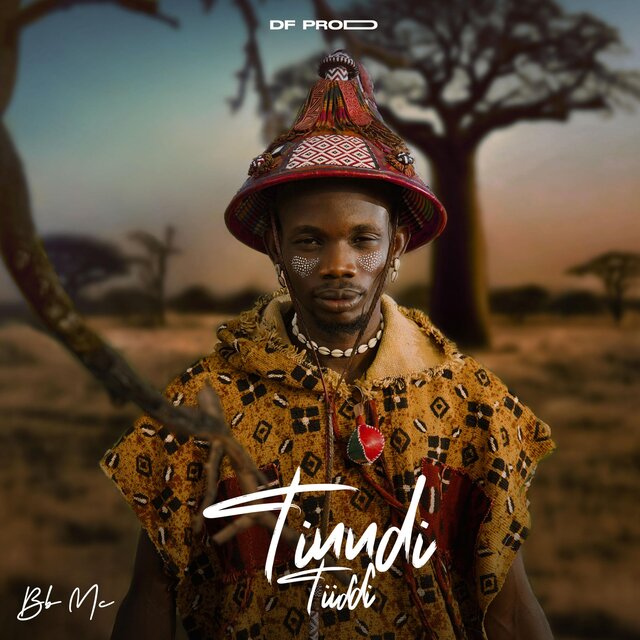 Tinndi Tiiɗɗi