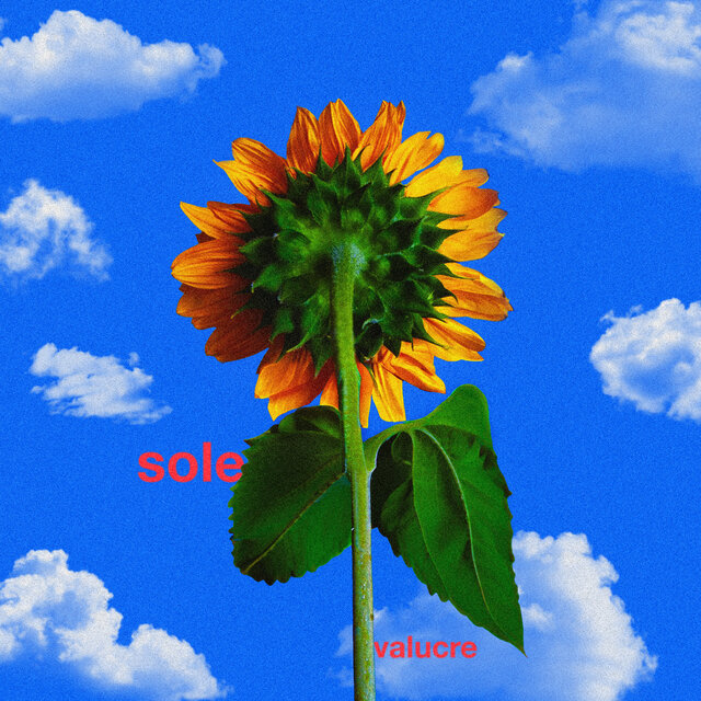 sole