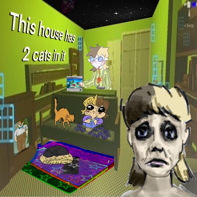 This house has 2 cats in it