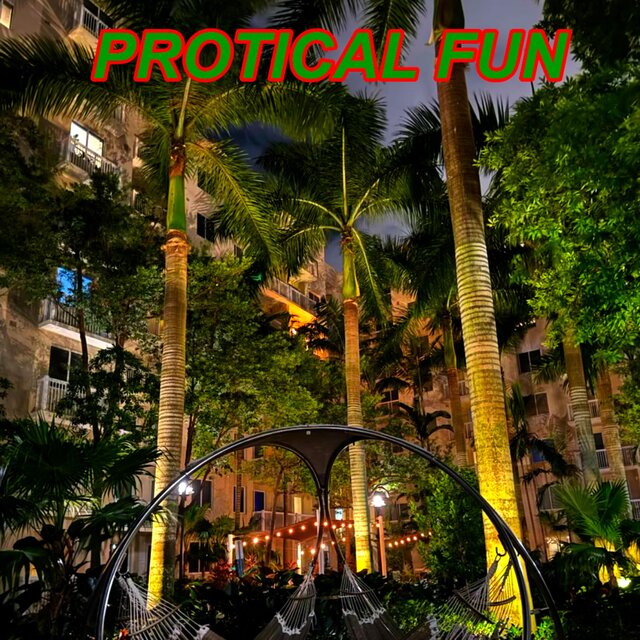 protical fun