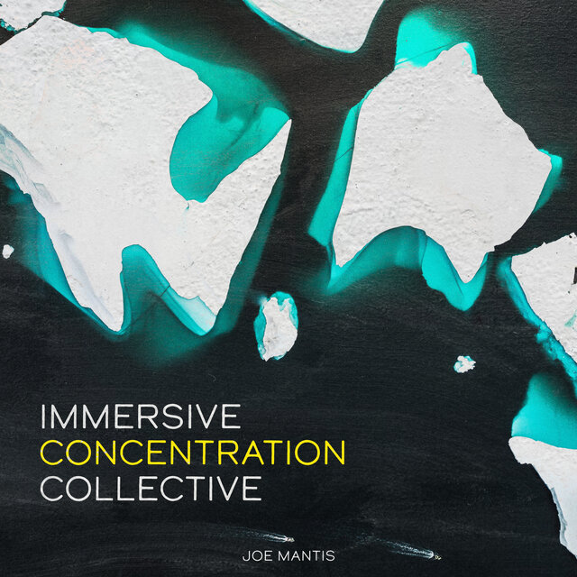 Immersive Concentration Collective